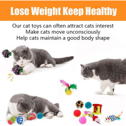 Speedy Panther 21 Stücke Katzenspielzeug Set