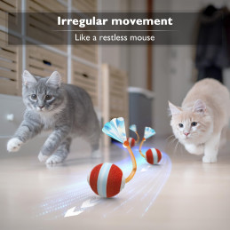 Interaktive Katzenspielzeuge - Kugel für Indoor-Katzen