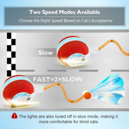 Interaktive Katzenspielzeuge - Kugel für Indoor-Katzen